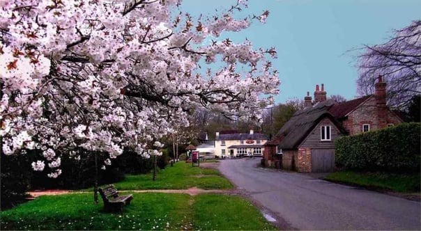 bentworth_spring_blossom